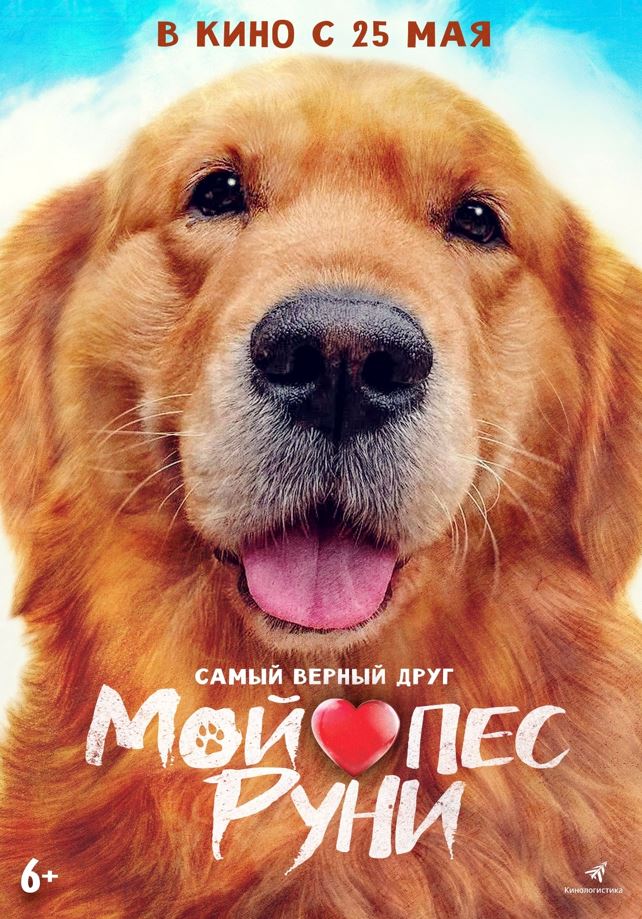 Мой пес Руни