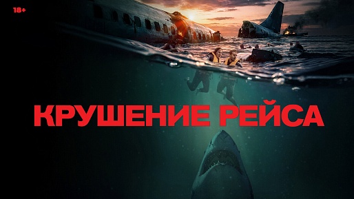 Крушение рейса